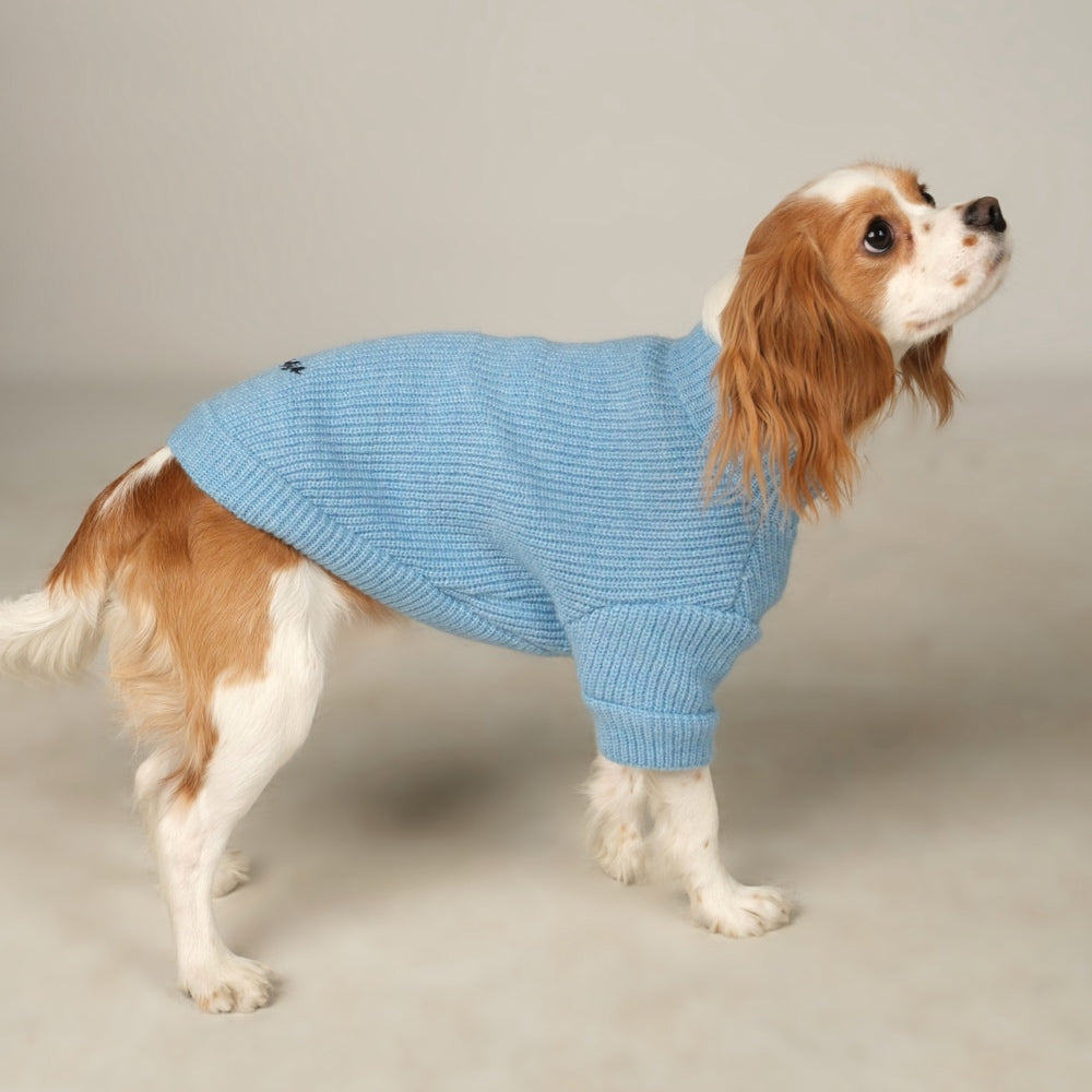 Basic Blue Knit Dog Sweater