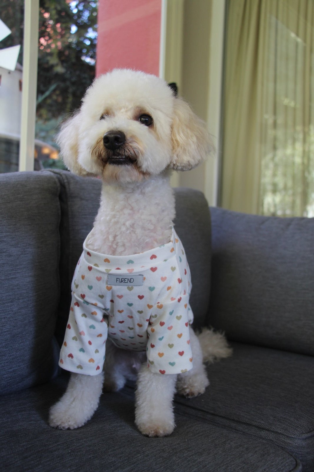 FUREND WHITE HEART DOG T-SHIRT