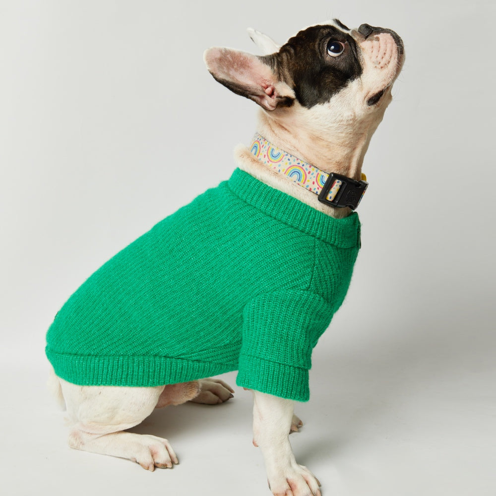 GREEN ZIPPERED DOG SWEATER