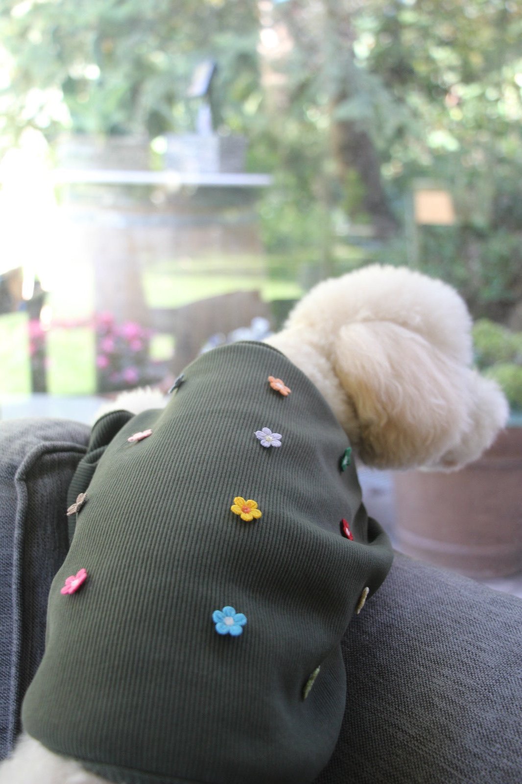 FUREND KHAKI FLORAL DOG T-SHIRT