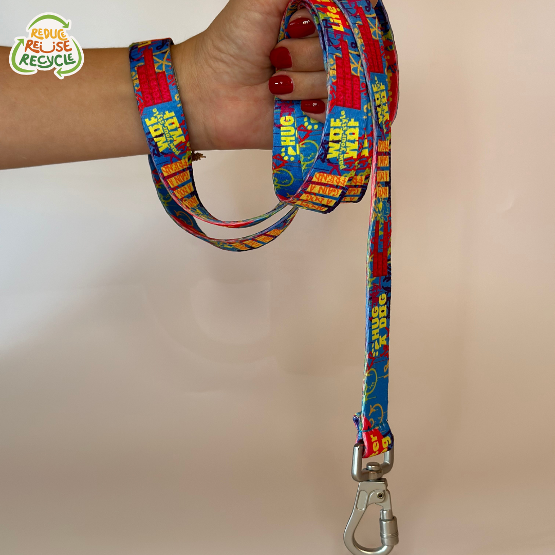 PAWLOOK BLUE DOG BAG LEASH SET