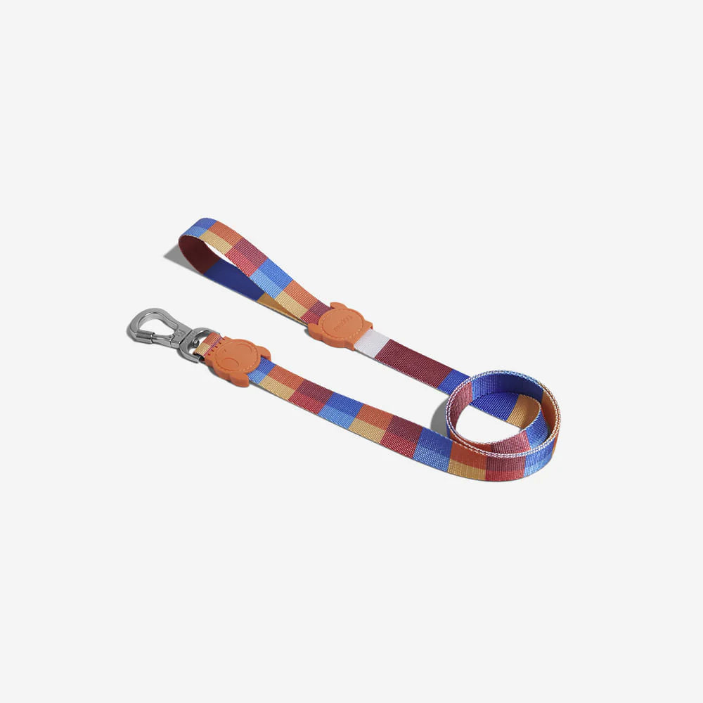 Parker Dog Walking Collar