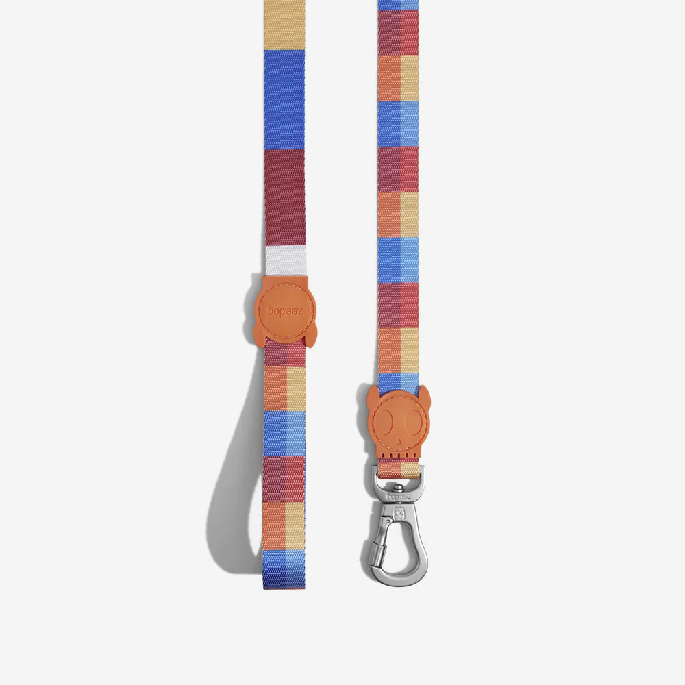 Parker Dog Walking Collar