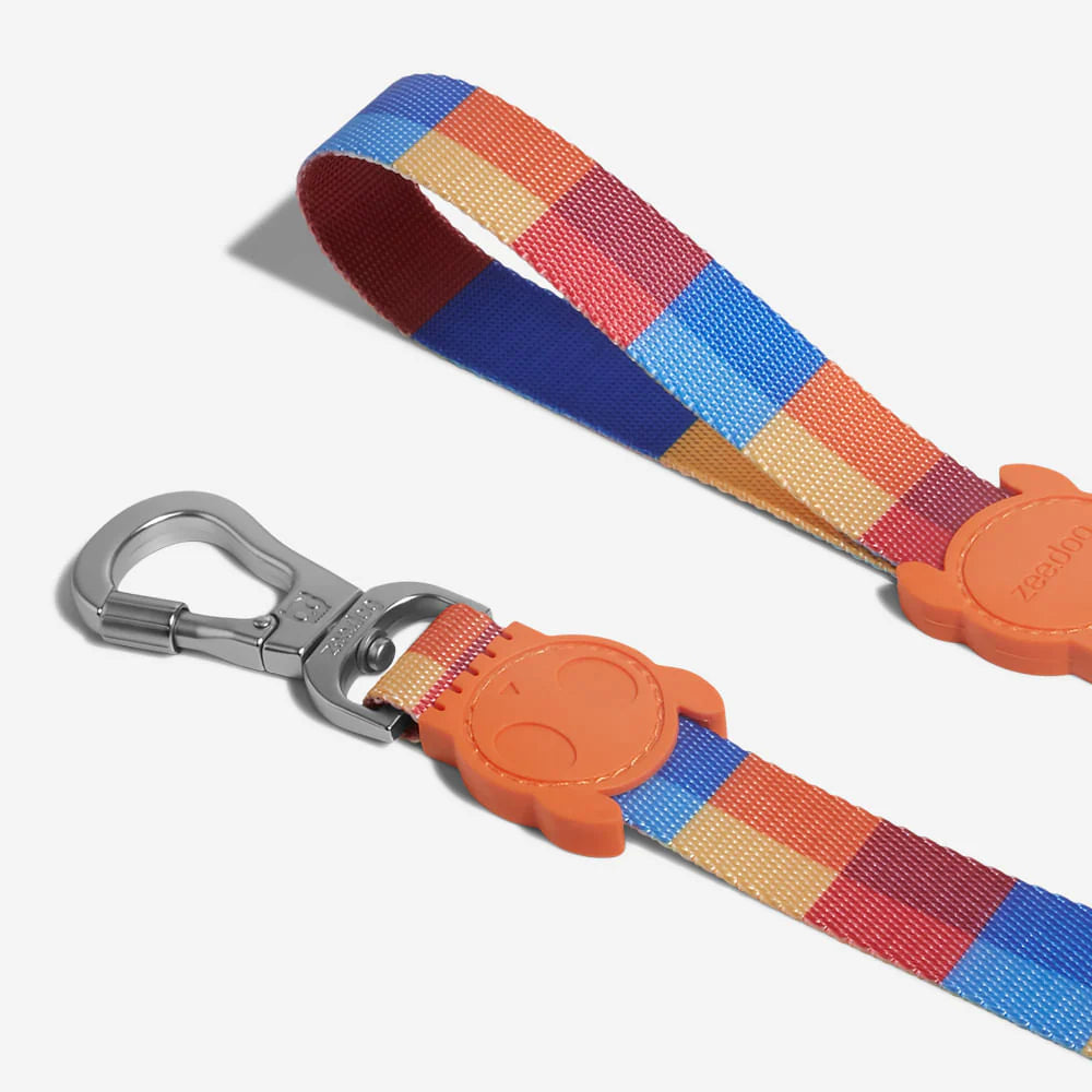 Parker Dog Walking Collar