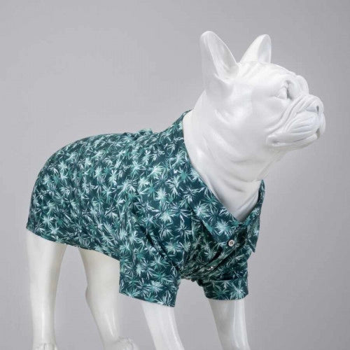 HAVANA DOG SHIRT