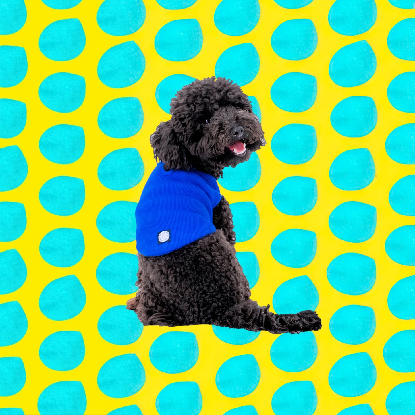 LACİ SLEEVELESS DOG T-SHIRT