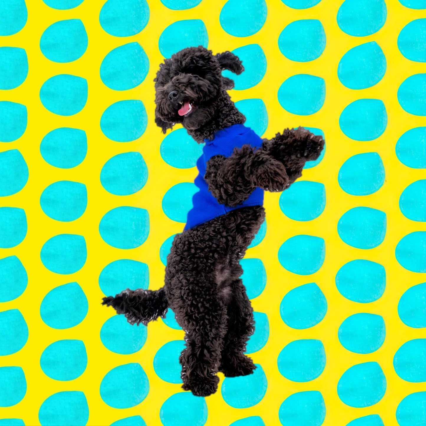LACİ SLEEVELESS DOG T-SHIRT