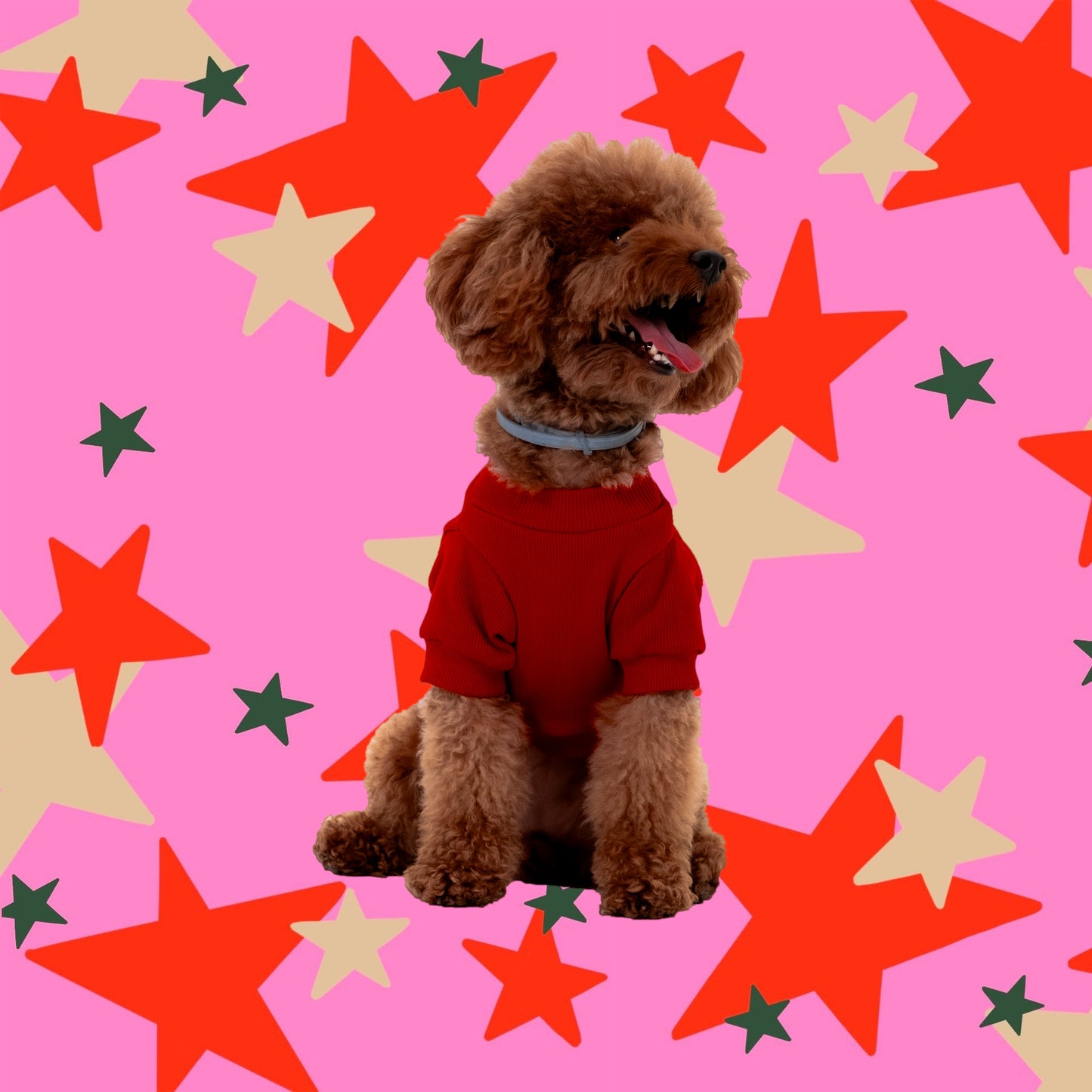 RED SLEEVE DOG T-SHIRT