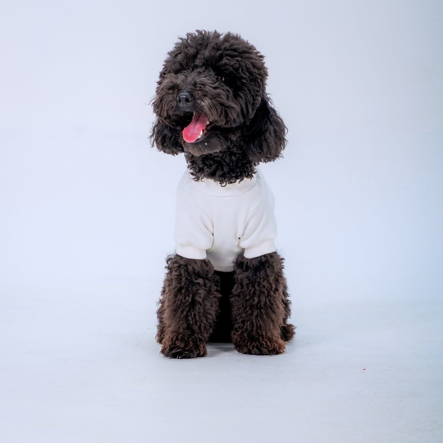 ECRU SLEEVE DOG T-SHIRT