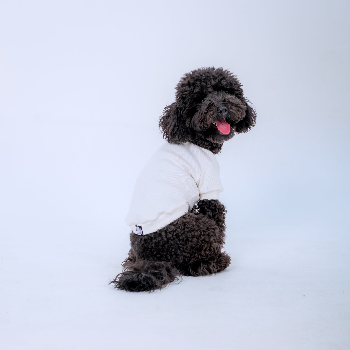 ECRU SLEEVE DOG T-SHIRT
