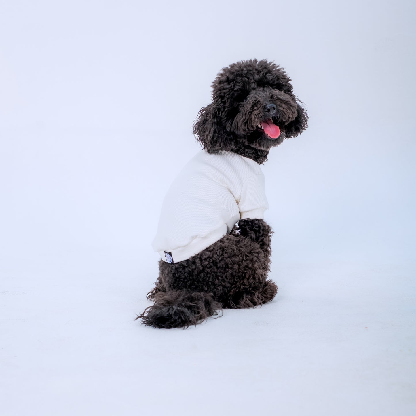 ECRU SLEEVE DOG T-SHIRT