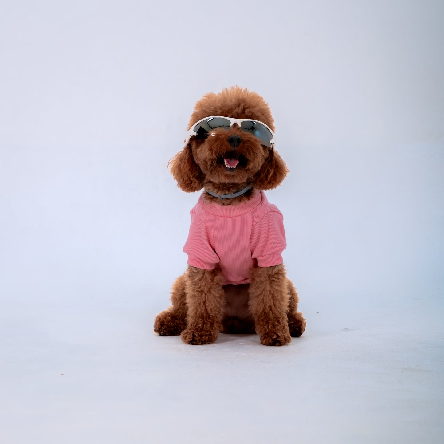 PINK SLEEVE DOG T-SHIRT