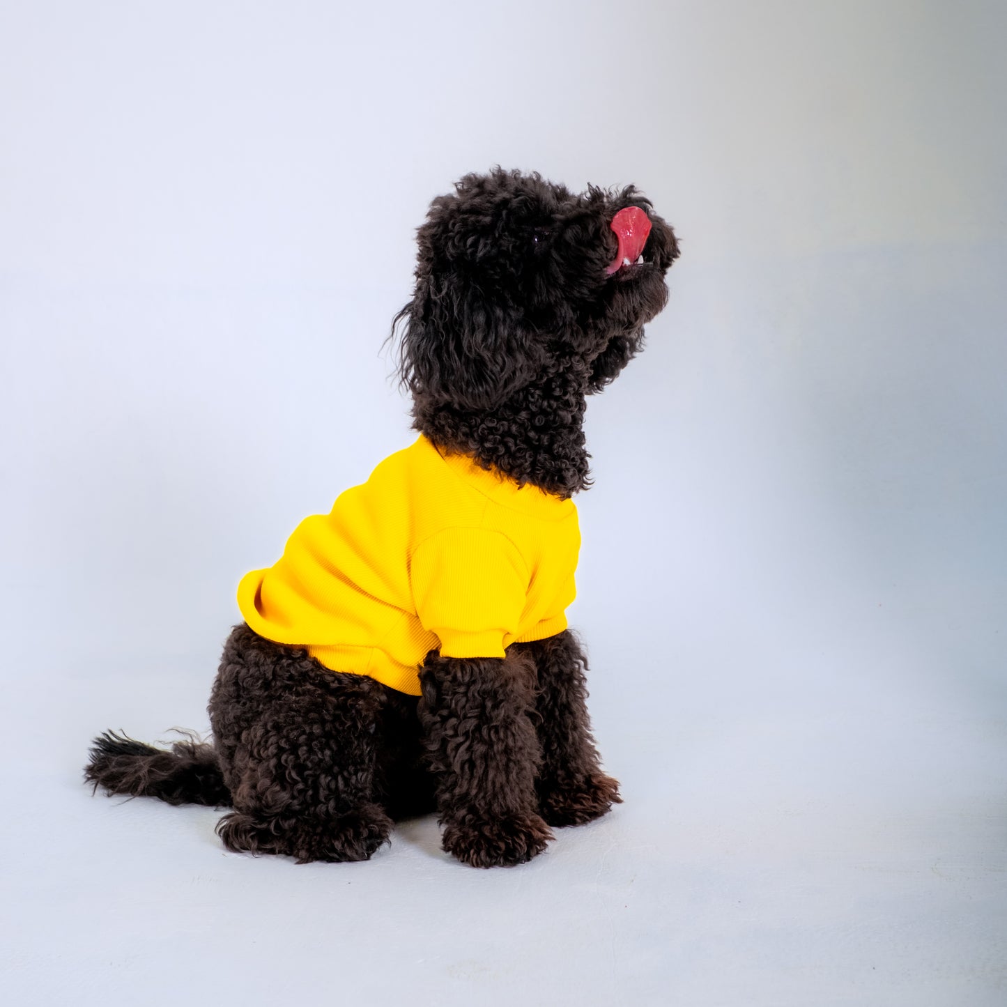 YELLOW SLEEVE DOG T-SHIRT