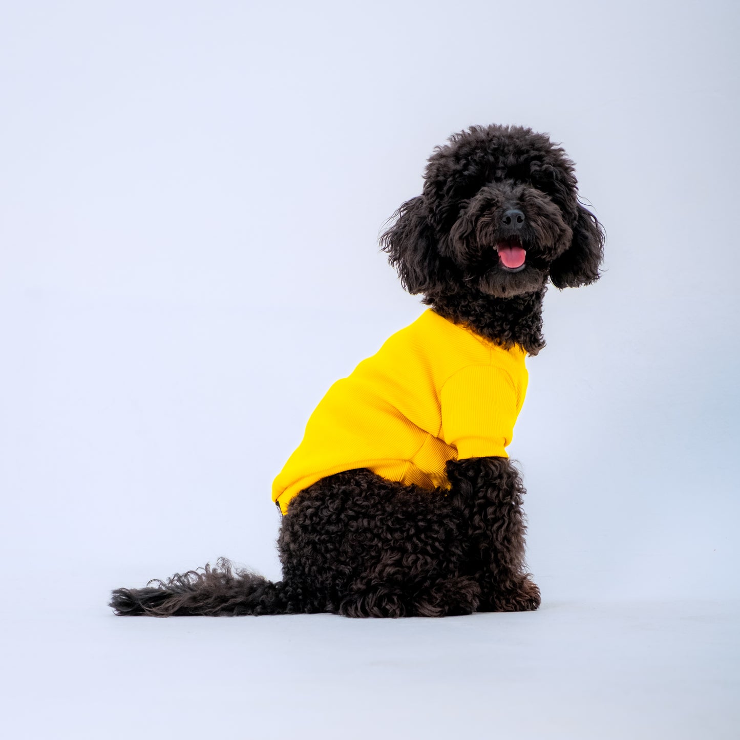 YELLOW SLEEVE DOG T-SHIRT