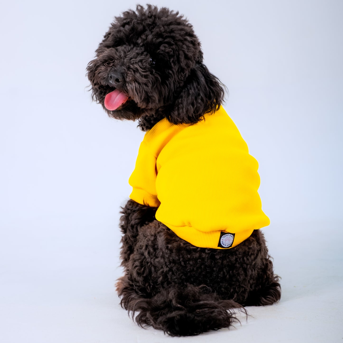 YELLOW SLEEVE DOG T-SHIRT