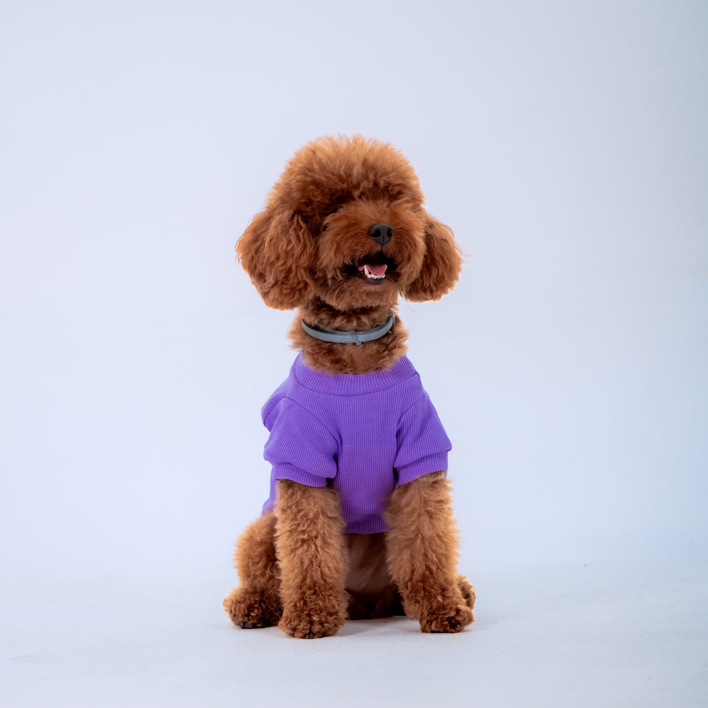 LİLA KOLLU KÖPEK TSHİRT