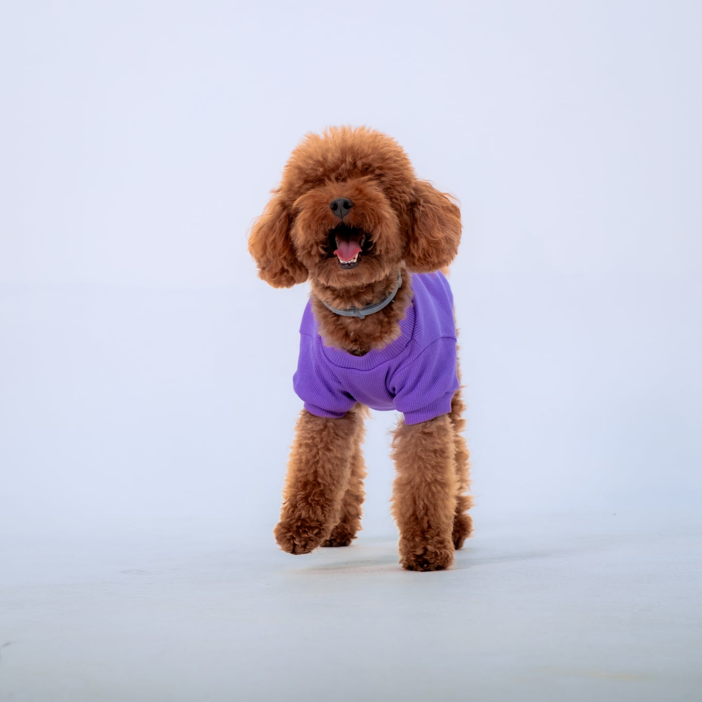 LİLA KOLLU KÖPEK TSHİRT