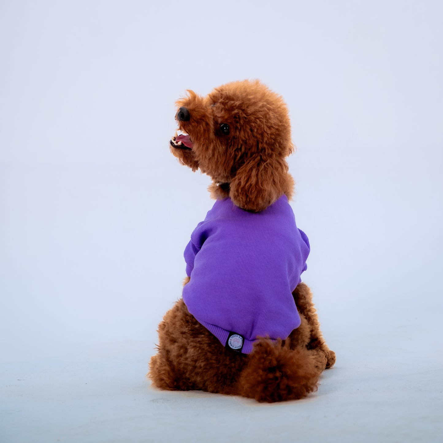 LİLA KOLSUZ KÖPEK TSHİRT
