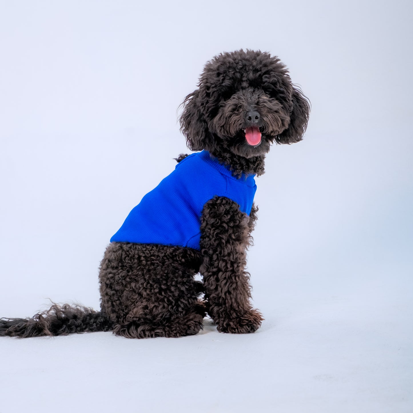 LACİ SLEEVELESS DOG T-SHIRT