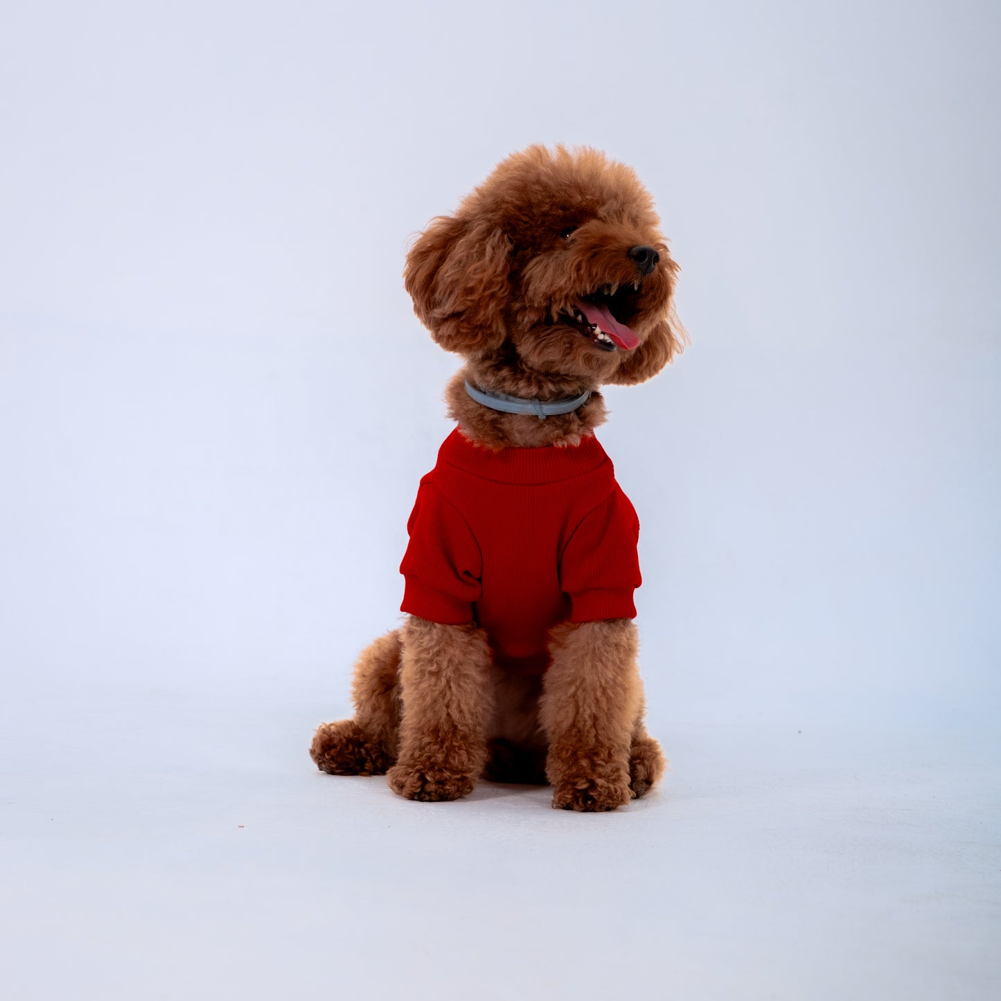 RED SLEEVE DOG T-SHIRT