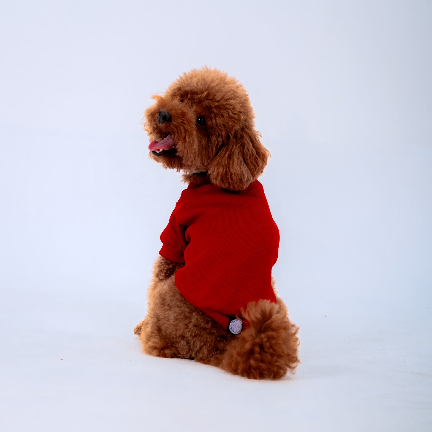RED SLEEVE DOG T-SHIRT