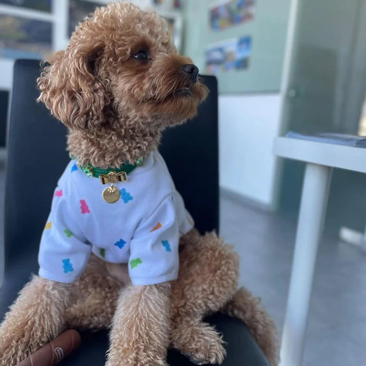JELLYBOO DOG T-SHIRT