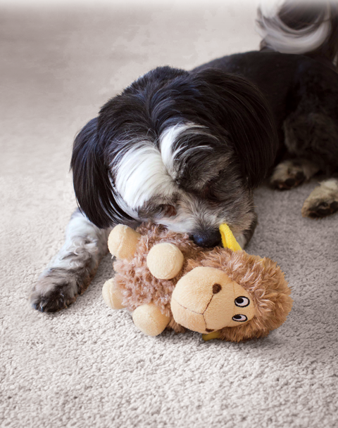 KONG CRUNCHEEZ SHEEP DOG TOY