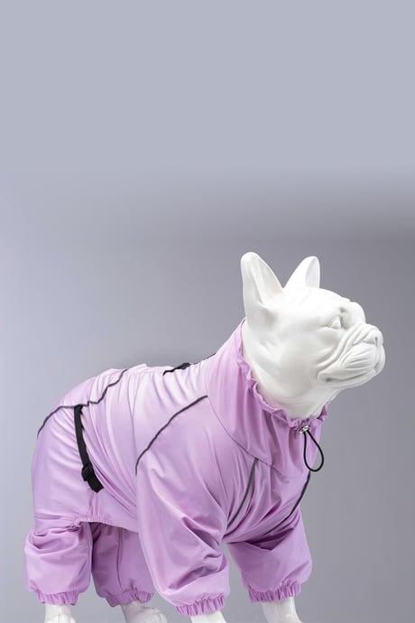 QUATTRO LAIKA DOG RAINCOAT