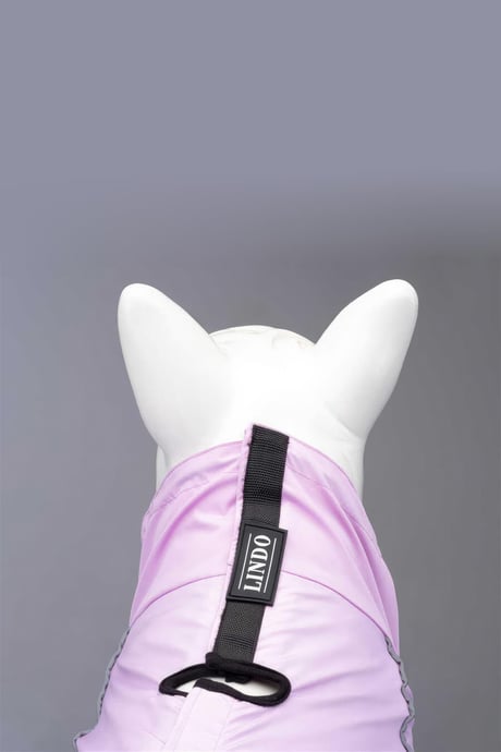 QUATTRO LAIKA DOG RAINCOAT