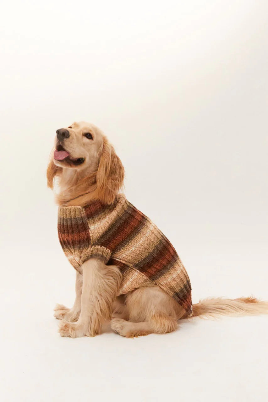 Bergamo Dog Sweater - Brown