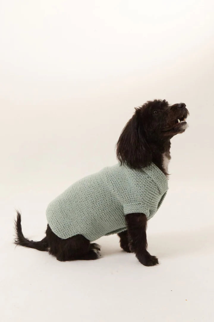 Milano Köpek Kazak - Su Yeşili