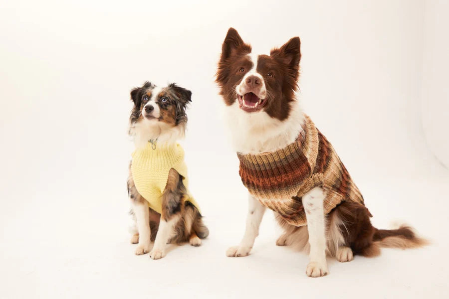 Bergamo Dog Sweater - Brown