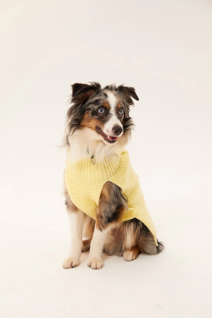 Verona Dog Sweater - Yellow