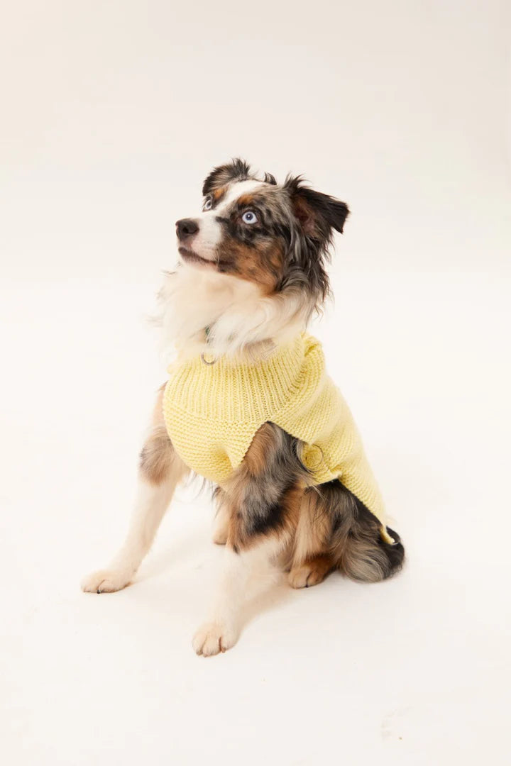 Verona Dog Sweater - Yellow