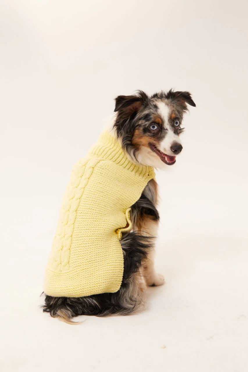 Verona Dog Sweater - Yellow