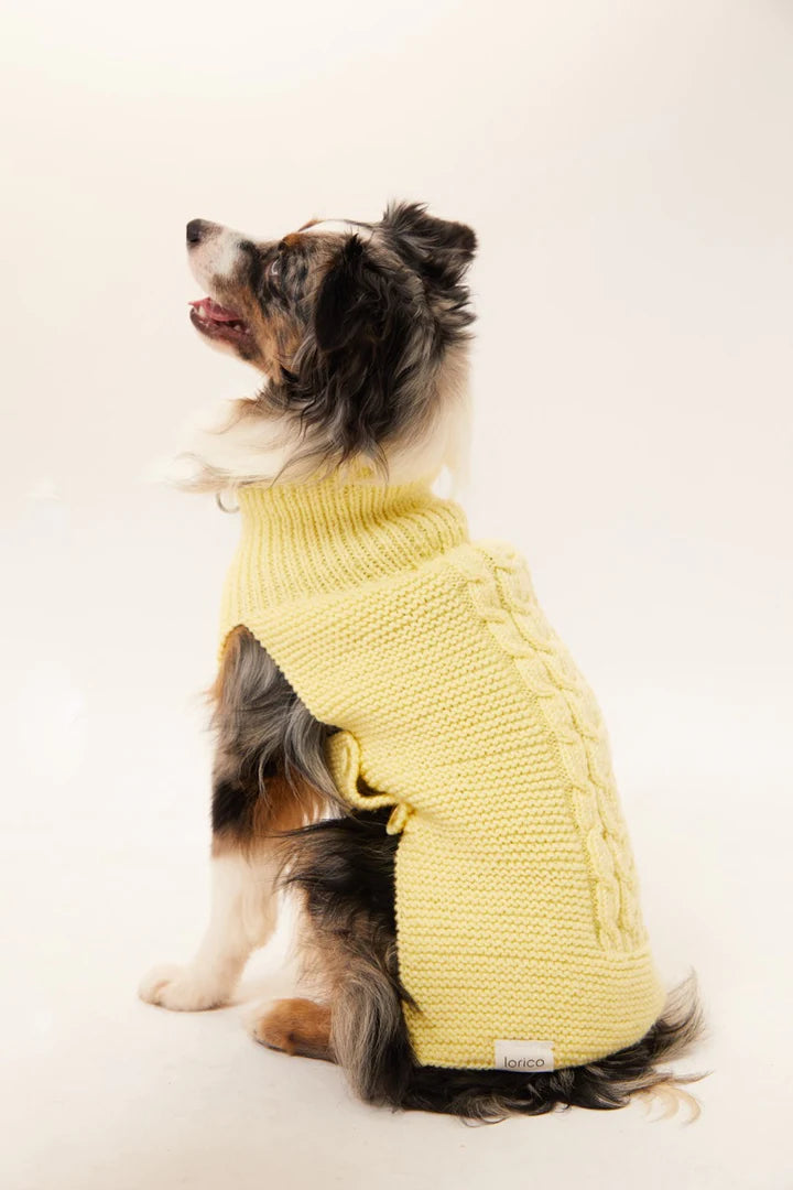 Verona Dog Sweater - Yellow
