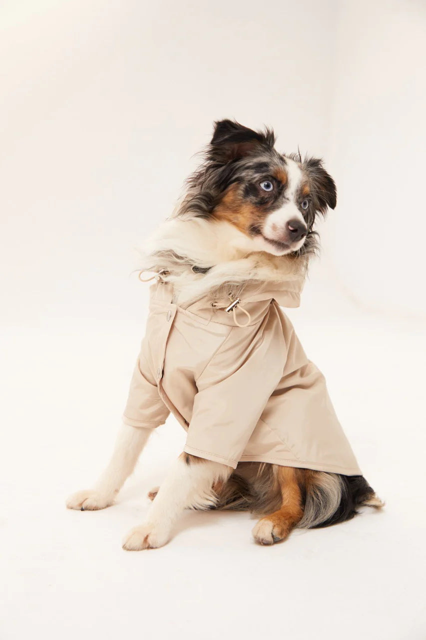 Torino Dog Raincoat - Beige
