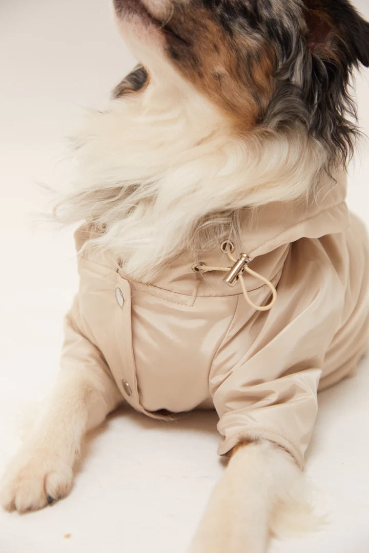 Torino Dog Raincoat - Beige