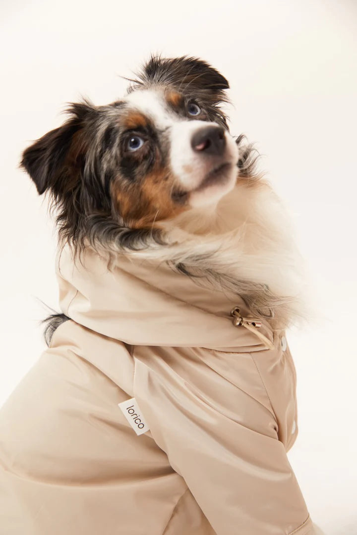 Torino Dog Raincoat - Beige