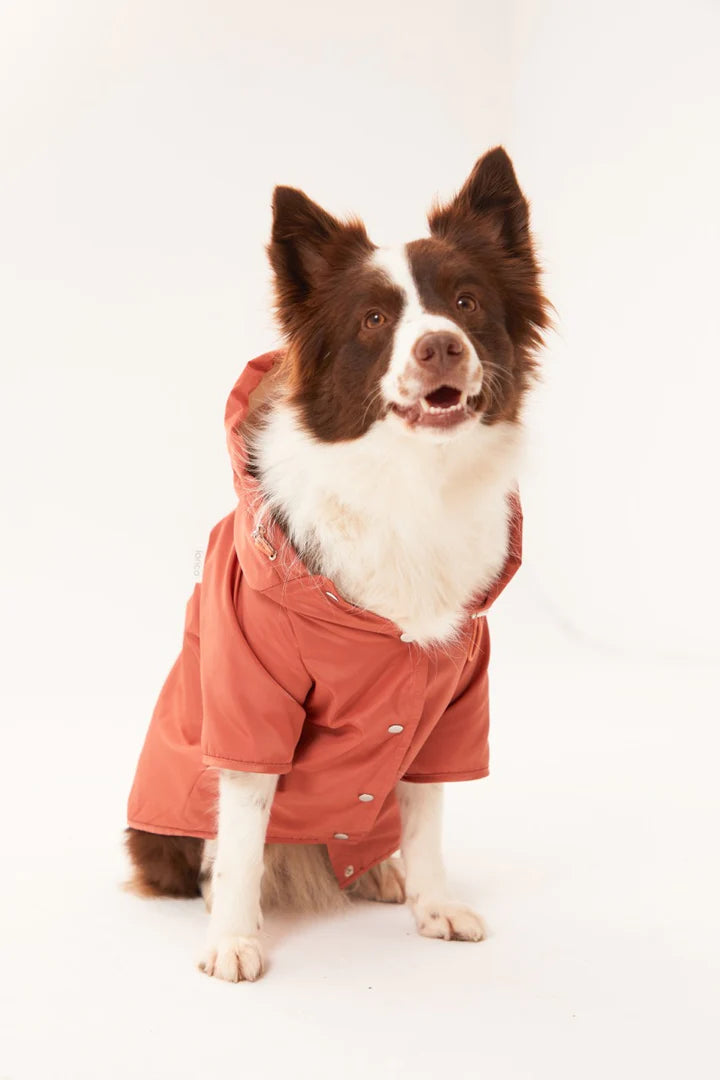 Torino Köpek Yağmurluk - Tarçın