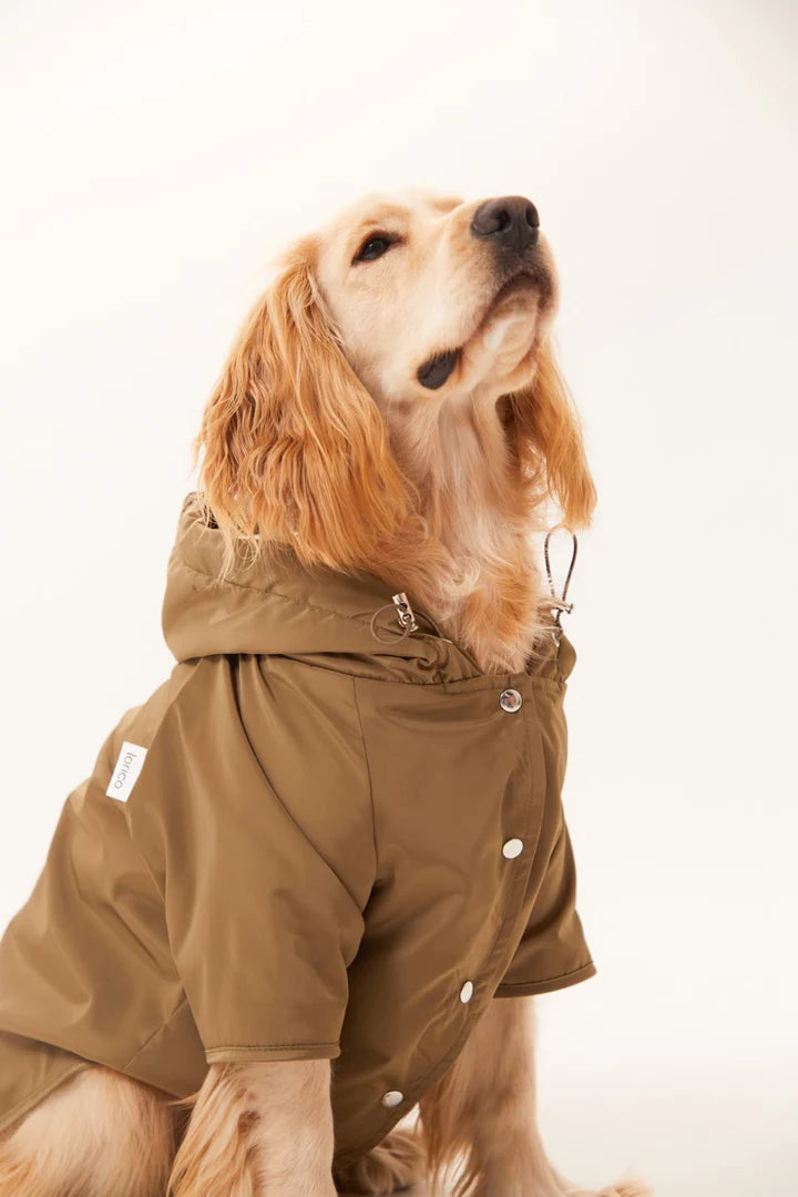 Torino Köpek Yağmurluk - Haki