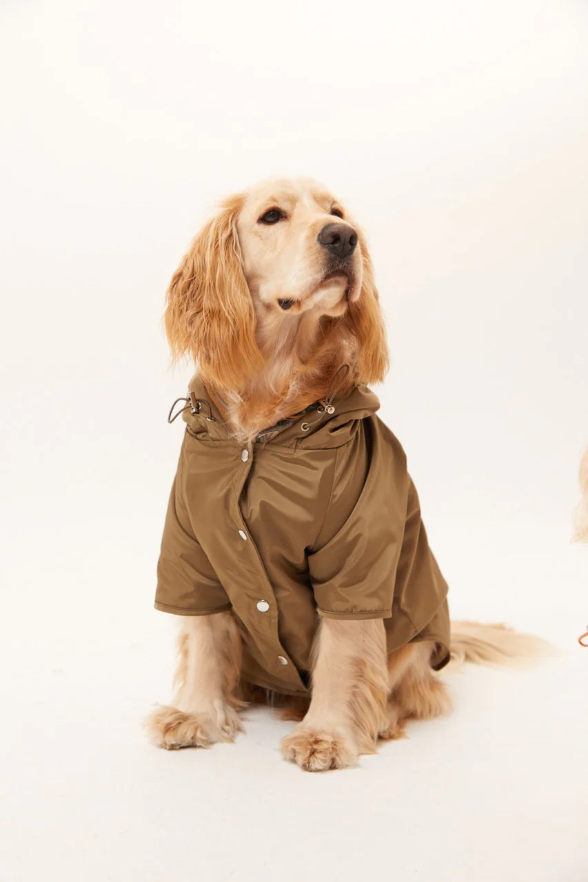 Torino Köpek Yağmurluk - Haki
