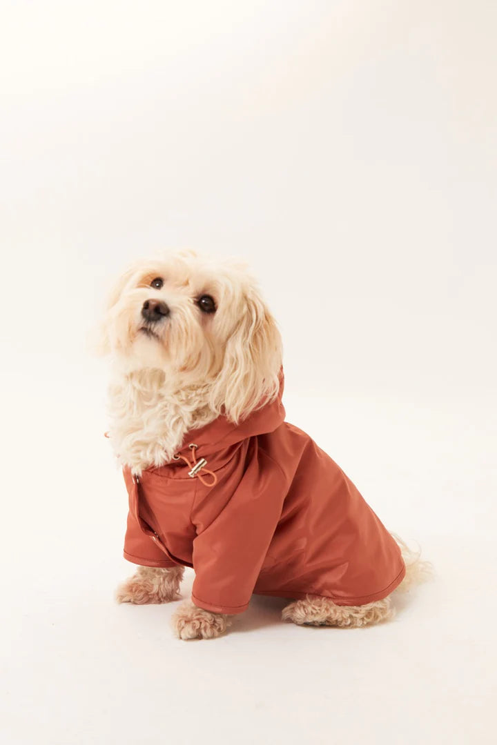 Torino Köpek Yağmurluk - Tarçın