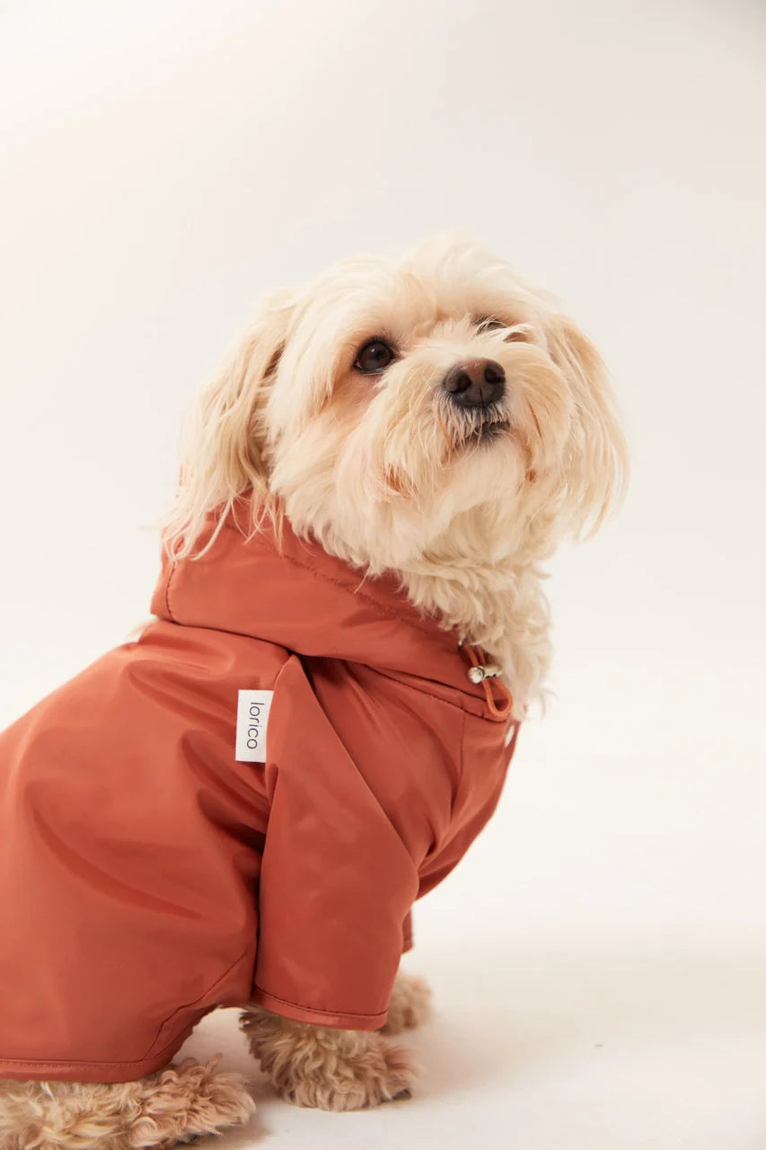 Torino Köpek Yağmurluk - Tarçın