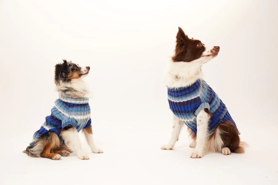 Bergamo Dog Sweater - Blue