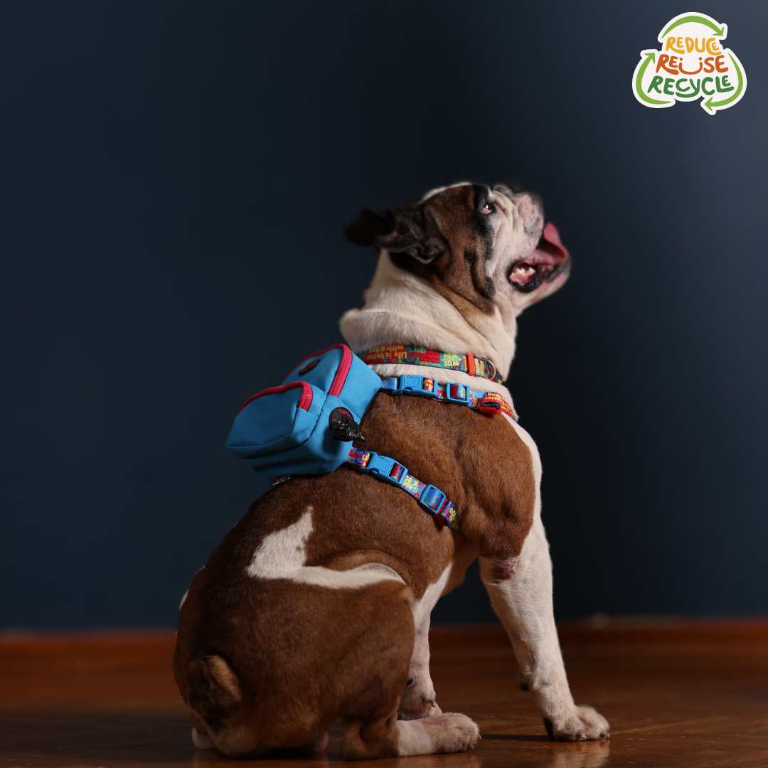 PAWLOOK BLUE DOG BAG LEASH SET