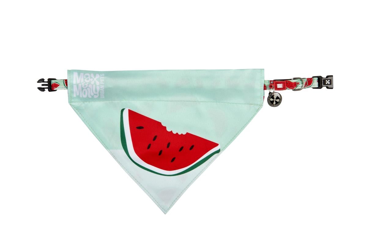 WATERMELON Köpek BANDANA