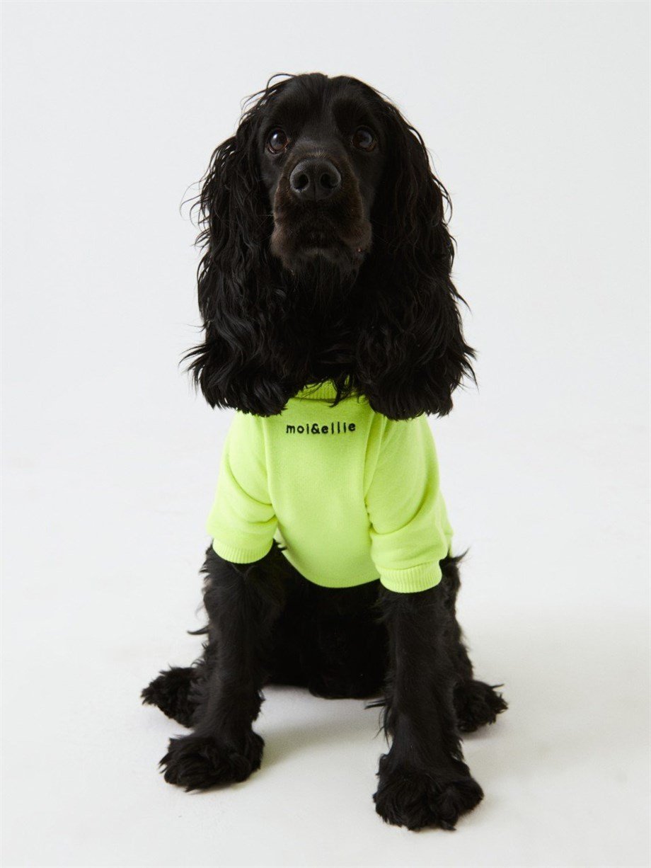 Moi and Ellie Dog Sweatshirt