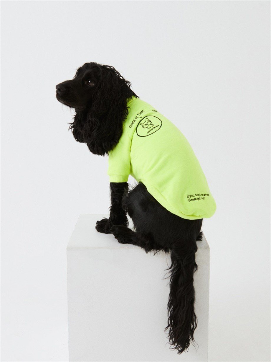 Moi and Ellie Dog Sweatshirt