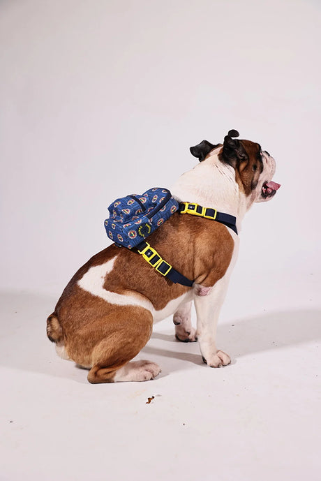 Pawlook Dog Harness Backpack Licensed with Fenerbahce Writing